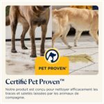 Bissell SpotClean Pet Pro, robot aspirateur pour les taches du quotidien