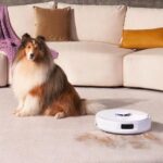 NARWAL Freo X Ultra, robot aspirateur laveur avec station autonome